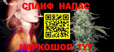 МДПВ Донецк