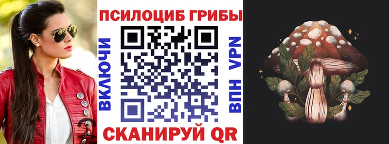 Галлюциногенные грибы мицелий  Новый Уренгой 