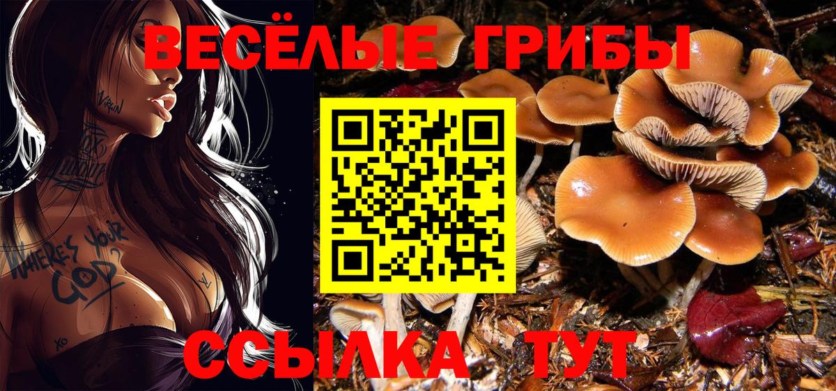 Псилоцибиновые грибы MAGIC MUSHROOMS Новый Уренгой